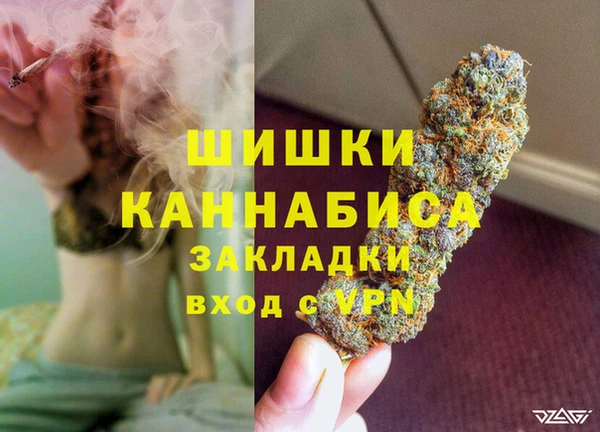 ГАЛЛЮЦИНОГЕННЫЕ ГРИБЫ Заводоуковск